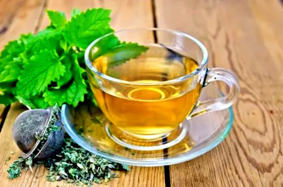 این گیاه درمان کننده آلزایمر است