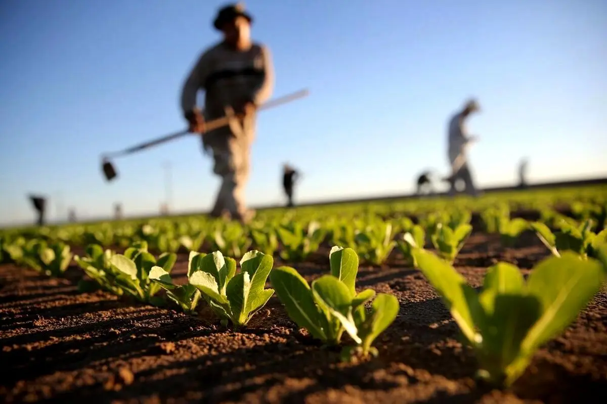 بحران«خاک شور» چیست؟