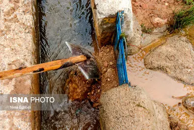شغل میرآب