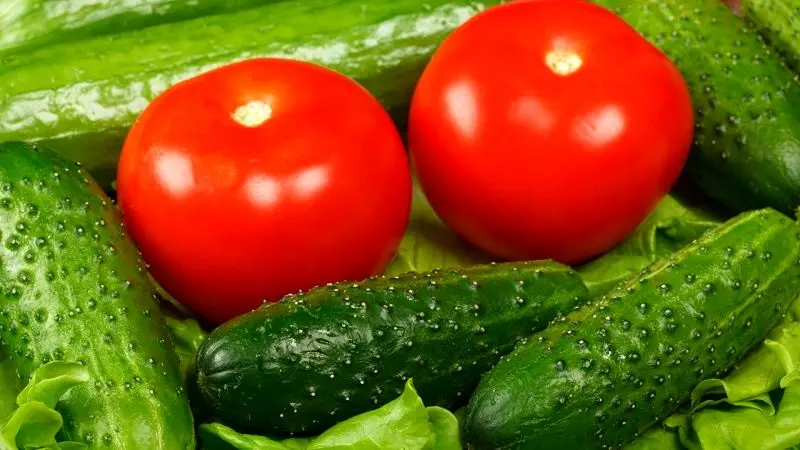 خوراکی های آبرسان تابستانه را بشناسید
