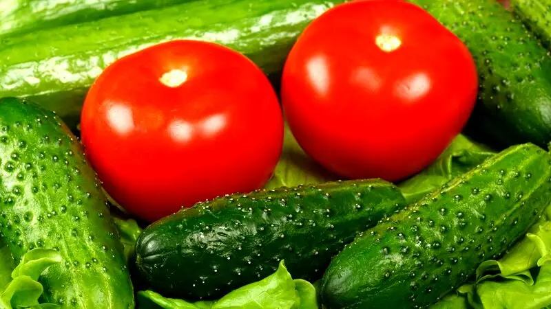 خوراکی های آبرسان تابستانه را بشناسید