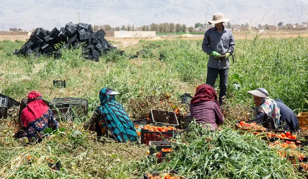 نادیده گرفتن حقوق زنان کارگر در جهان