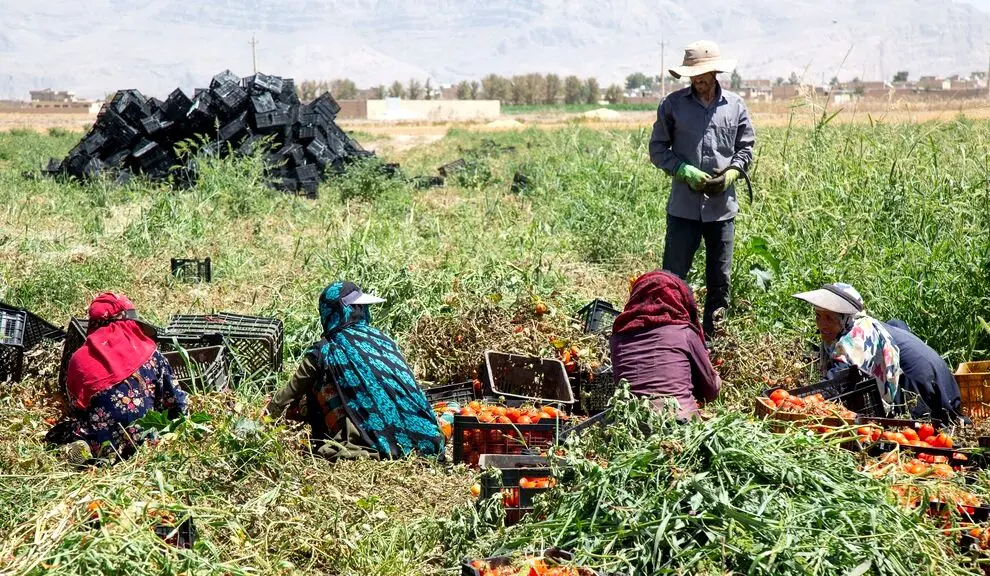 نادیده گرفتن حقوق زنان کارگر در جهان