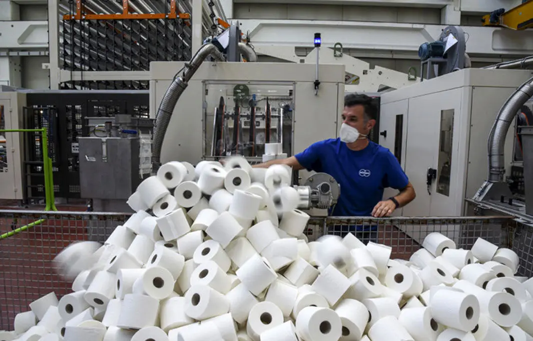 هزینه احداث کارخانه تولید دستمال کاغذی
