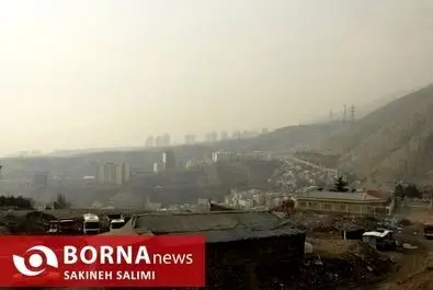 آلودگی هوا تهران را بلعید