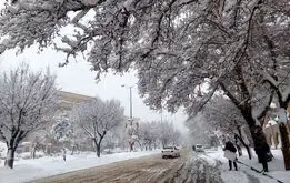 سه شنبه منتظر آغاز ۵ روز زمستانی سرد باشید ؛موج برف و باران در شب عید


