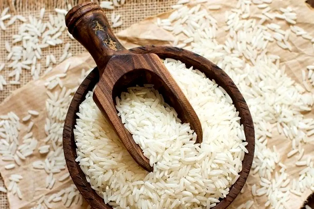 پشت پرده گرانی برنج؛ چرا قیمت برنج ناگهان نجومی شد؟