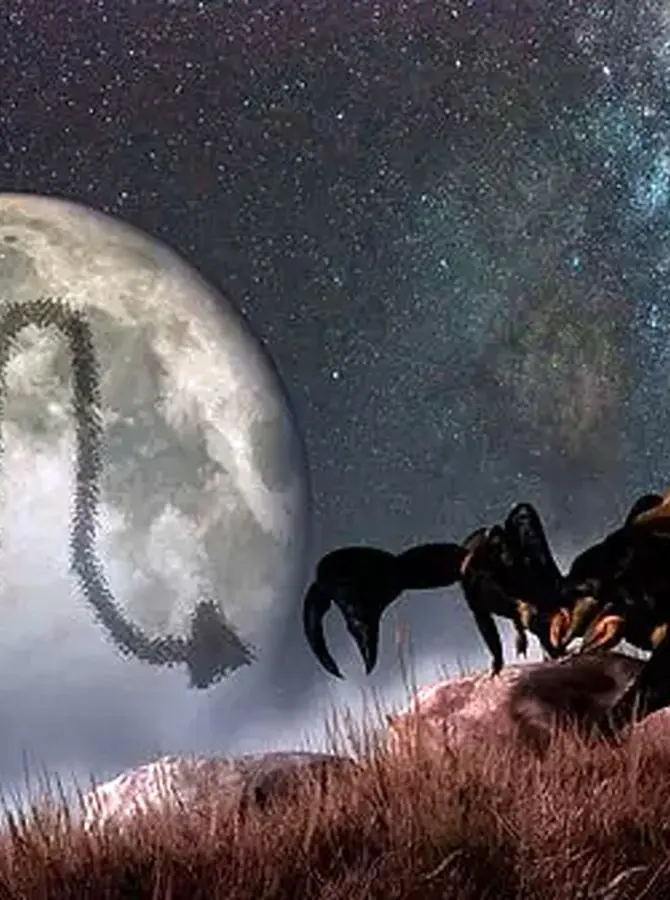 روزهای قمر در عقرب دی  ۱۴۰۴ / دی ماه چند روز قمر در عقرب است؟ کارهای ممنوعه و راه رفع نحسی  