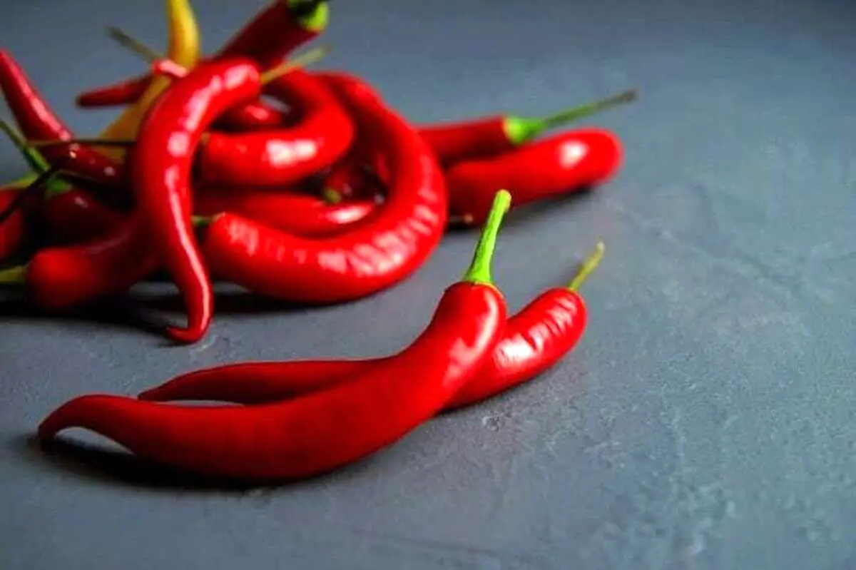 فواید بی‌نظیر غذاهای تند که نمی‌دانستید