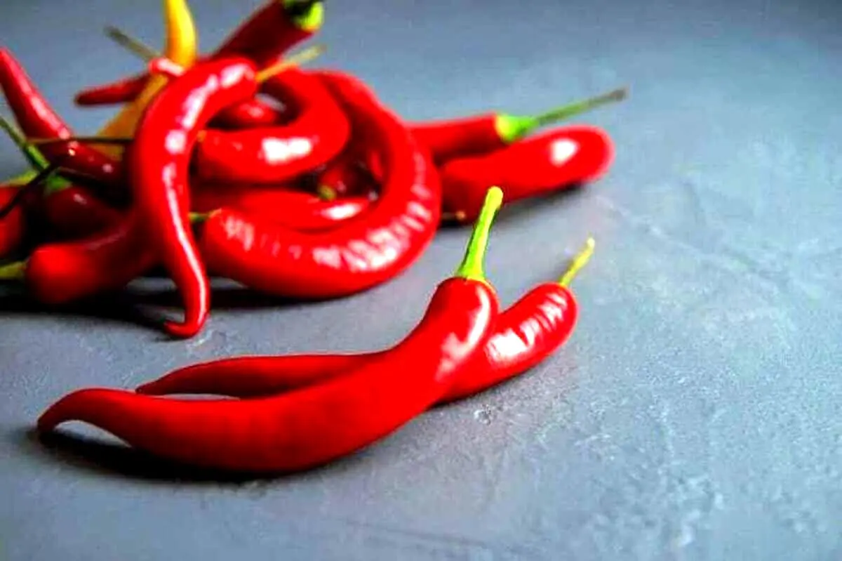 فواید بی‌نظیر غذاهای تند که نمی‌دانستید