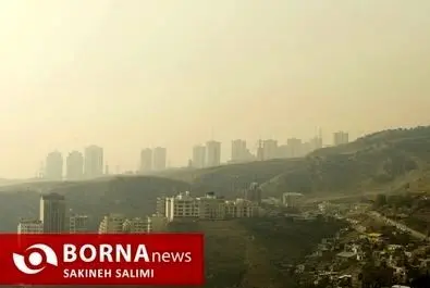 آلودگی هوا تهران را بلعید