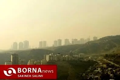 آلودگی هوا تهران را بلعید