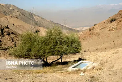 تصاویری دیدنی از منطقه حفاظت شده خجیر و سرخه حصار