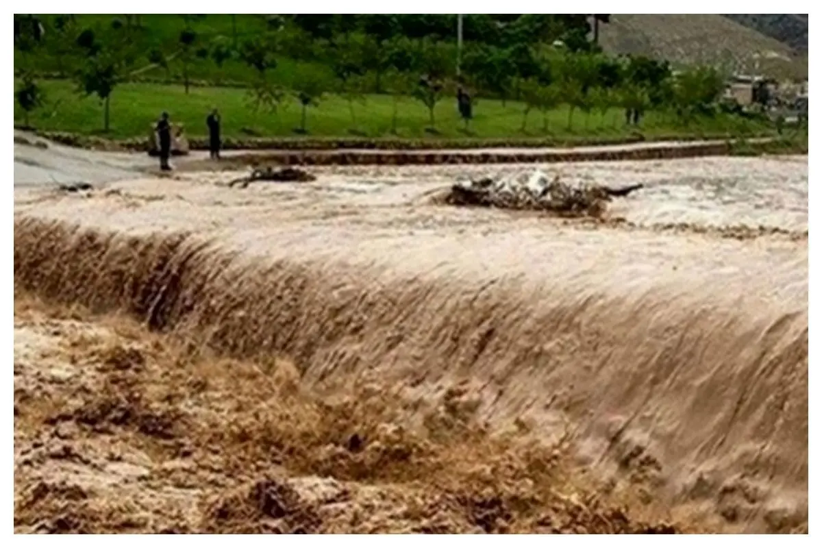 سیل ویرانگر در قشم یک سد را نابود کرد+فیلم