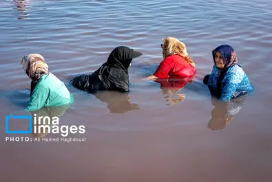 شنا کردن مردم در دریاچه بی‌جان ارومیه + عکس