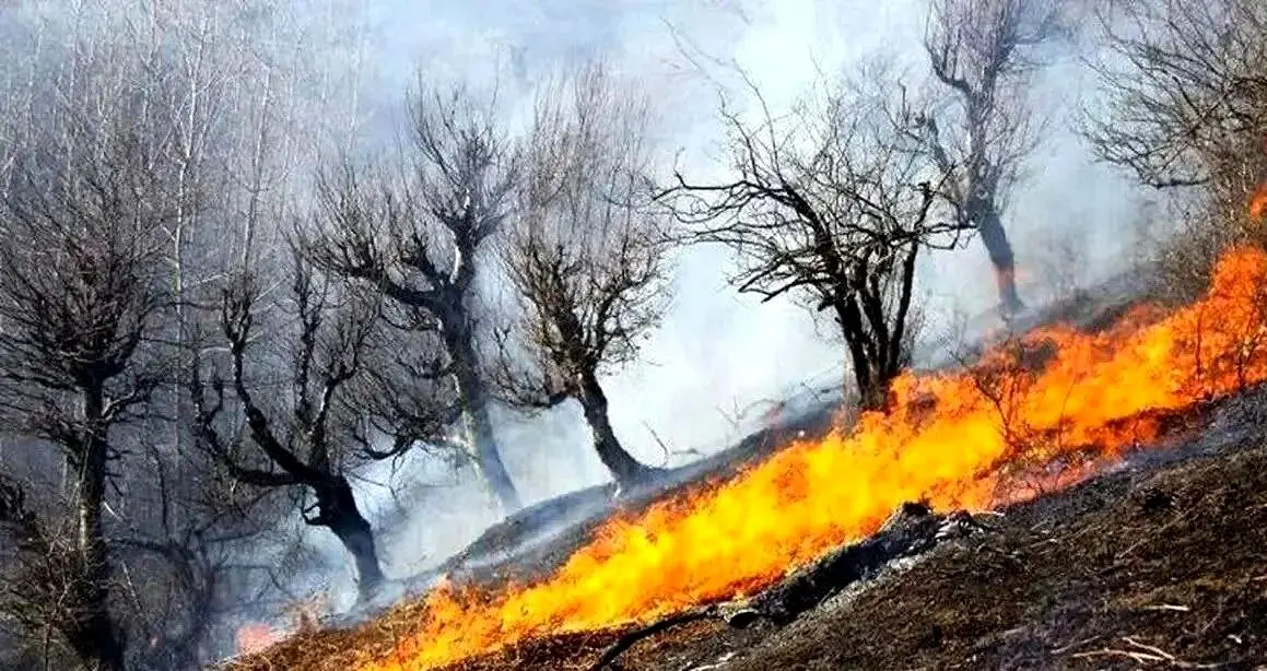 آتش به جان جنگل‌های شمال افتاد