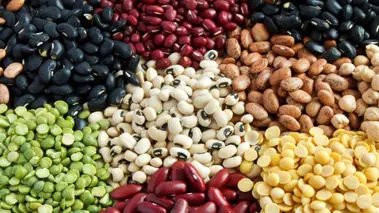 قیمت حبوبات در مسیر نزول؛ لوبیا چیتی از ۳۹۰ به ۳۲۰ هزار تومان رسید