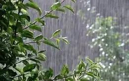 پیش‌بینی هواشناسی امروز / این استان‌ بارانی می‌شود