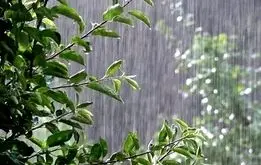 هوای تهران بارانی می‌شود