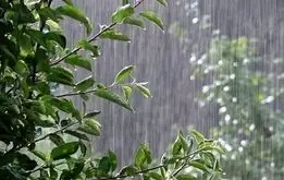 هوای تهران بارانی می‌شود