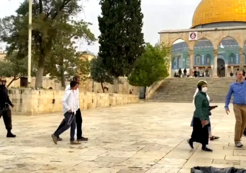 به سخره گرفتن مقدسات توسط صهیونیست‌ها در مسجدالاقصی + فیلم
