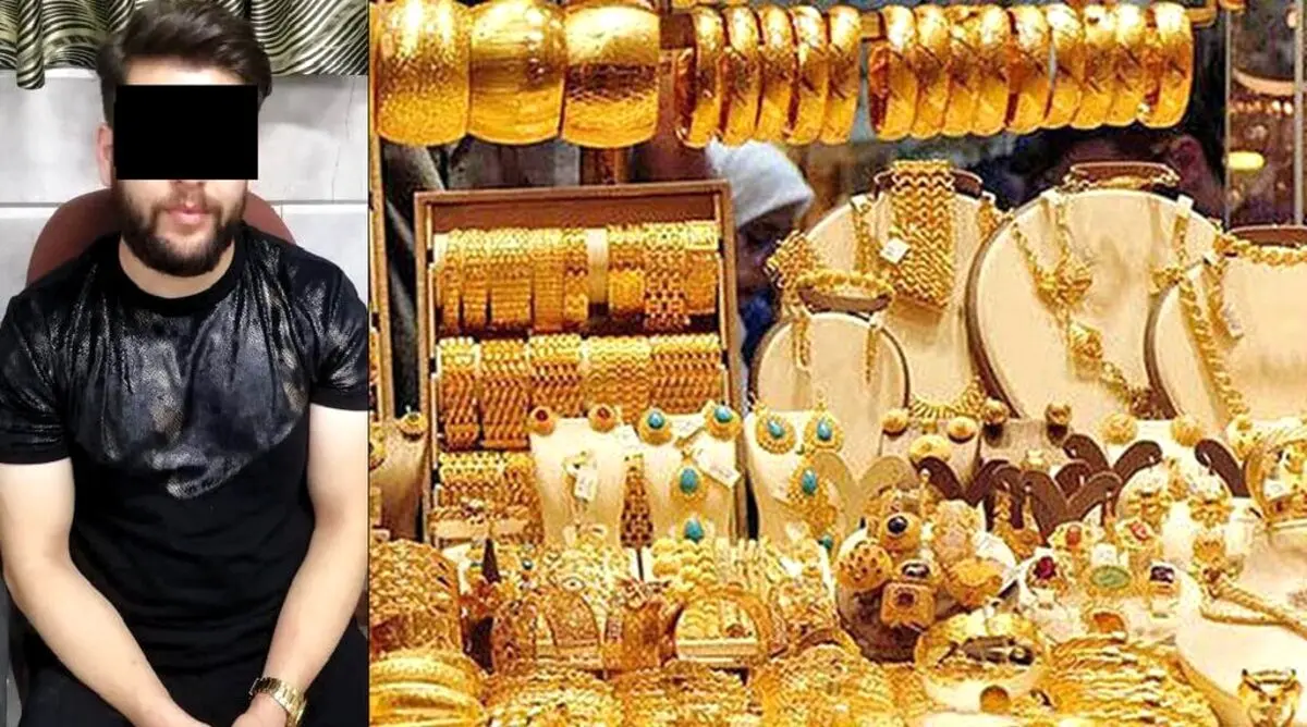 روباه اینستاگرام دستگیر شد