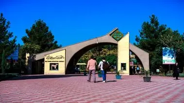 جزئیات جدید از ماجرای جنجالی برخورد فیزیکی استاد معارف با دختر دانشجو | حجت‌الاسلام براری از دانشجو دلجویی کرد