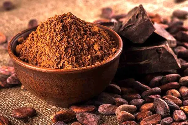 فواید شگفت انگیز پودر کاکائو برای سلامتی