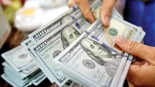 ارز را حذف کنید  یارانه باید 600 هزار تومان شود
