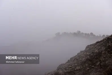 «زاینده رود» غرق در مه