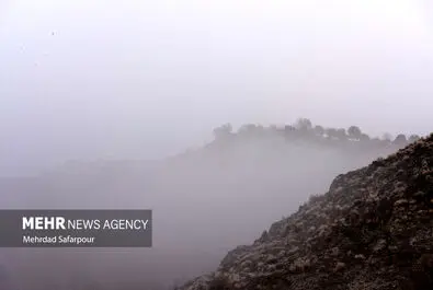 «زاینده رود» غرق در مه