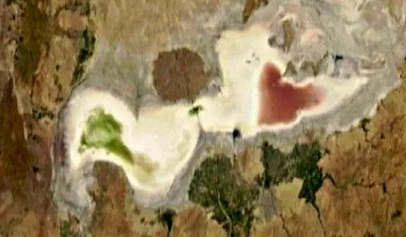 محیط زیست  مرگ دریاچه ارومیه را تکذیب کرد