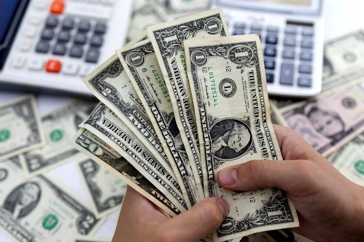 پیش‌بینی جالب یک فعال اقتصادی از سقوط قیمت دلار
