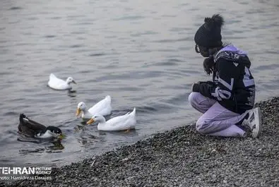 مهاجران اروپای شرقی به تهران آمدند