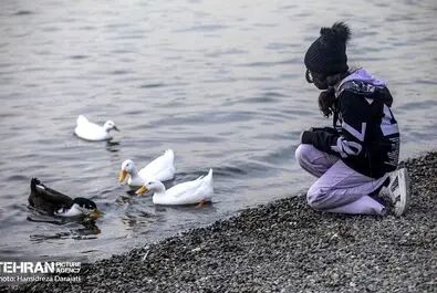 مهاجران اروپای شرقی به تهران آمدند