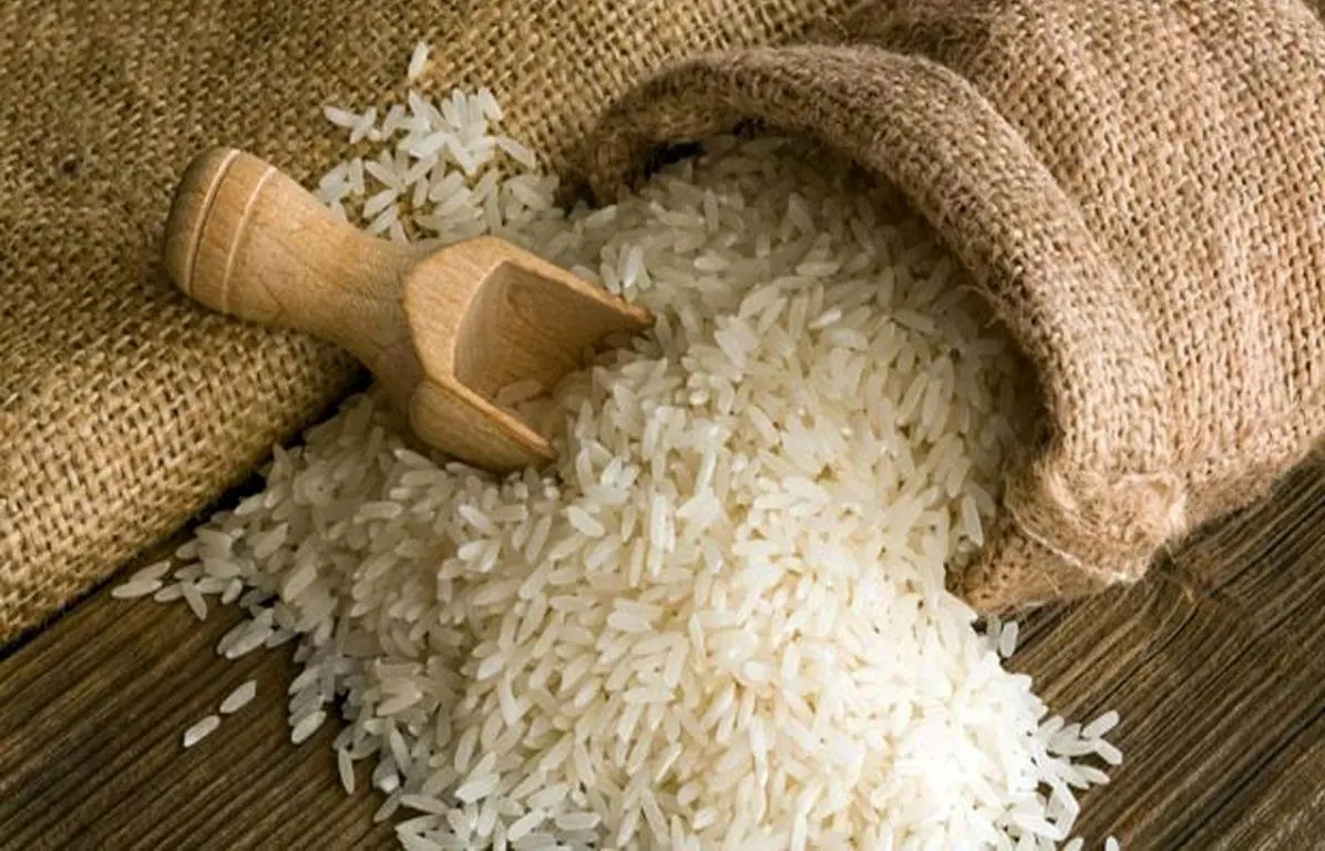 کشت برنج ممنوع شد
