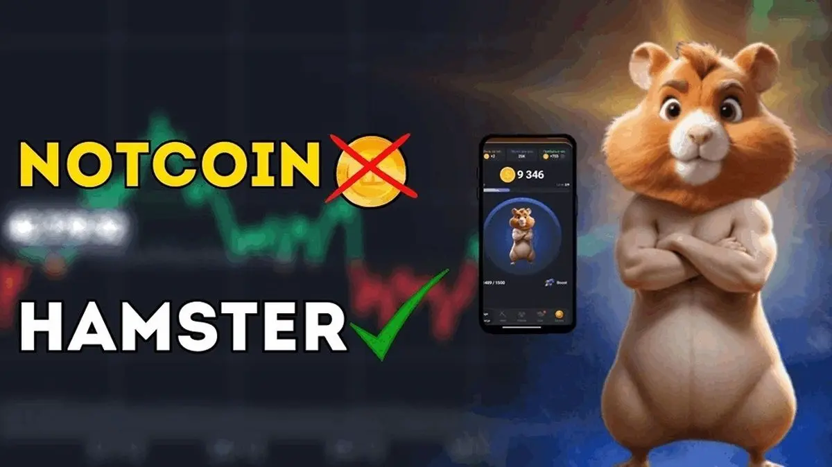  آیا می‌توان همستر کامبت را خرید و فروش کرد؟قیمت همستر کامبت چقدر است؟ 