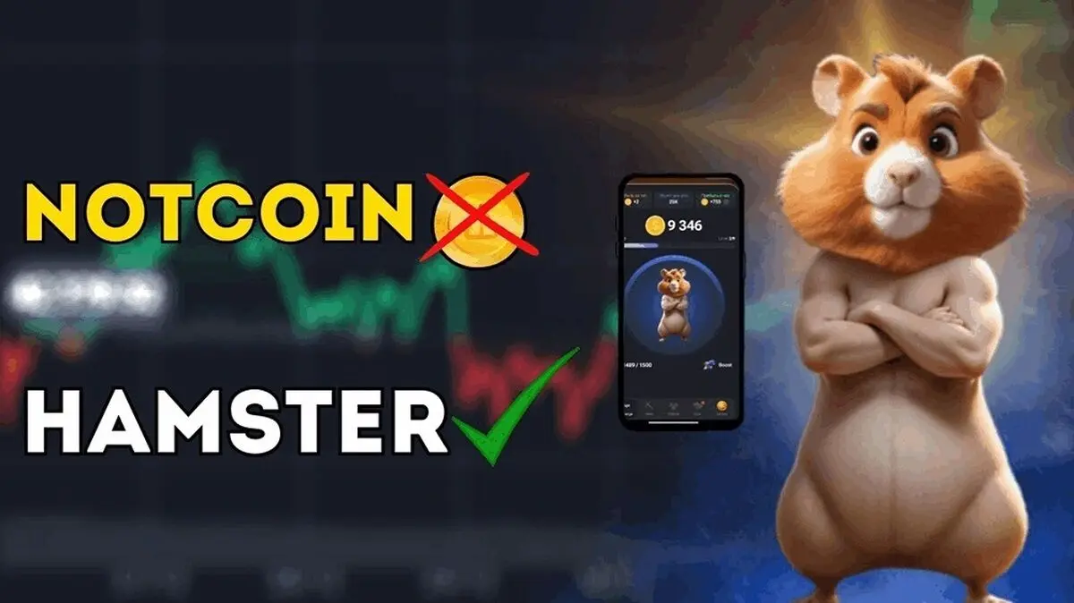  آیا می‌توان همستر کامبت را خرید و فروش کرد؟قیمت همستر کامبت چقدر است؟ 