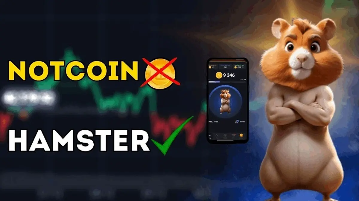  آیا می‌توان همستر کامبت را خرید و فروش کرد؟قیمت همستر کامبت چقدر است؟ 