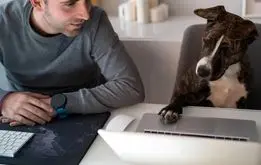 زبان حیوانات بالاخره ترجمه می‌شوند