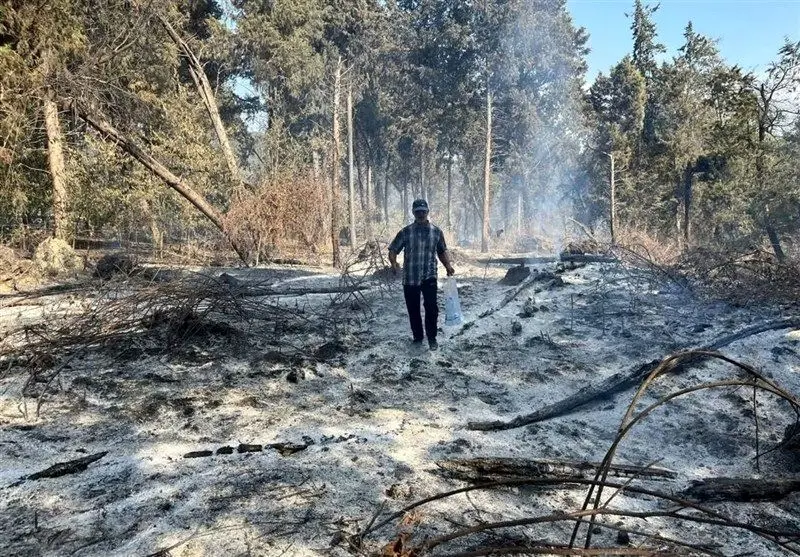 مقصران آتش‌سوزی جنگل‌های الیت چه کسانی هستند؟