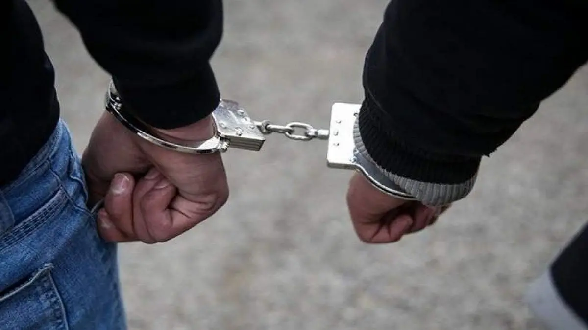 دستگیری ۱۴ عضو یک باند کلاهبرداری هرمی/همگی اتباع خارجی بودند