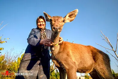 مرال در خانه
