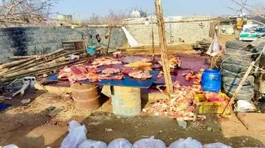 کشف کشتارگاه  اسب و الاغ در اسلامشهر + عکس