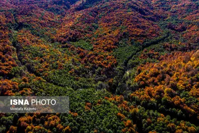 ایران زیباست؛ جایی میان پاییز و زمستان