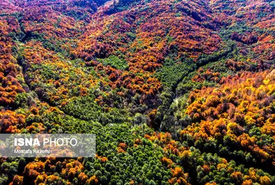 ایران زیباست؛ جایی میان پاییز و زمستان