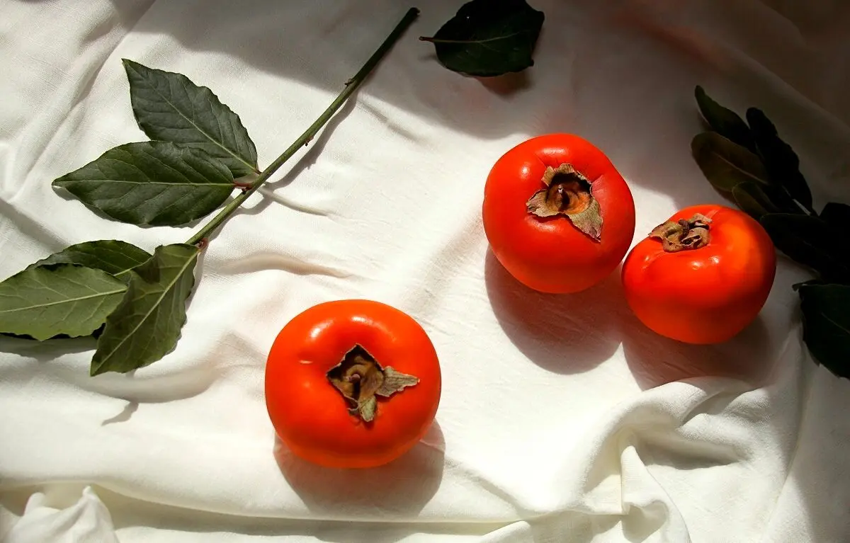 این افراد اصلا خرمالو نخورند