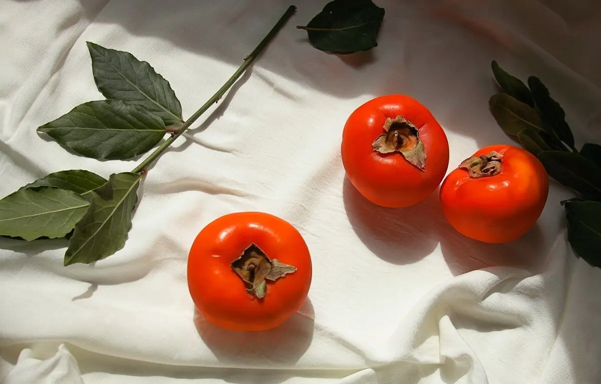 این افراد اصلا خرمالو نخورند