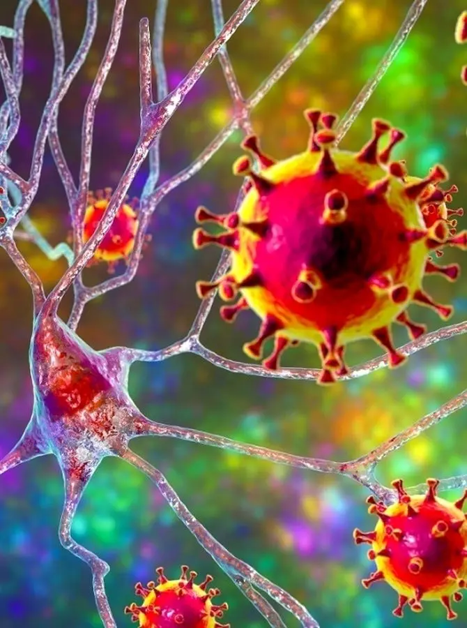 منشاء ویروس‌ جدید کرونا مشخص شد
