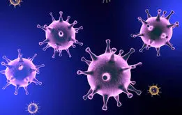 کرونا در کمین است/ سویه جدیدی در جریان است؟